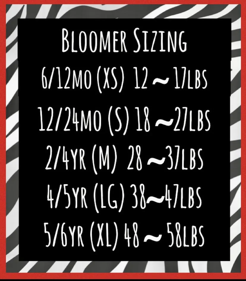 1 left! 12/24mo ~ Boujee Bloomers ~ Purple